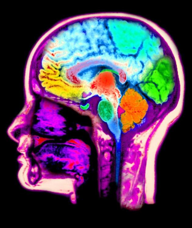 研究结果表明,岛叶皮质在感知和分辨体内、外信号时发挥着重要作用,而且大脑会调低某些信号的“音量”,以更加专注于其他信号。